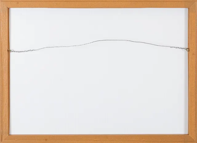 Work by Flavia Junqueira