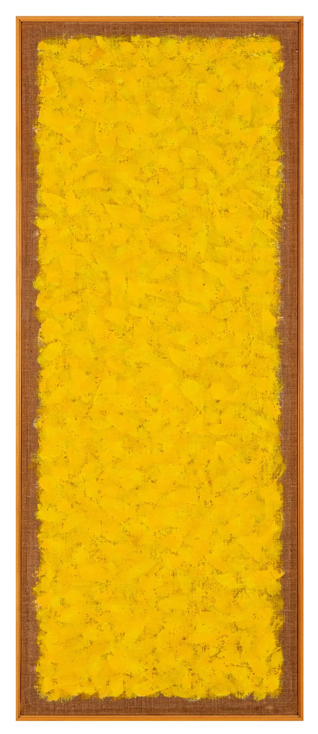 Obra de Amélia Toledo
