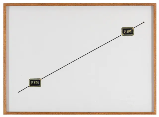 Work by Waltércio Caldas