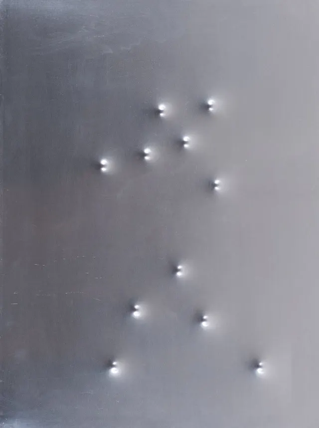 Work by Carlito Carvalhosa