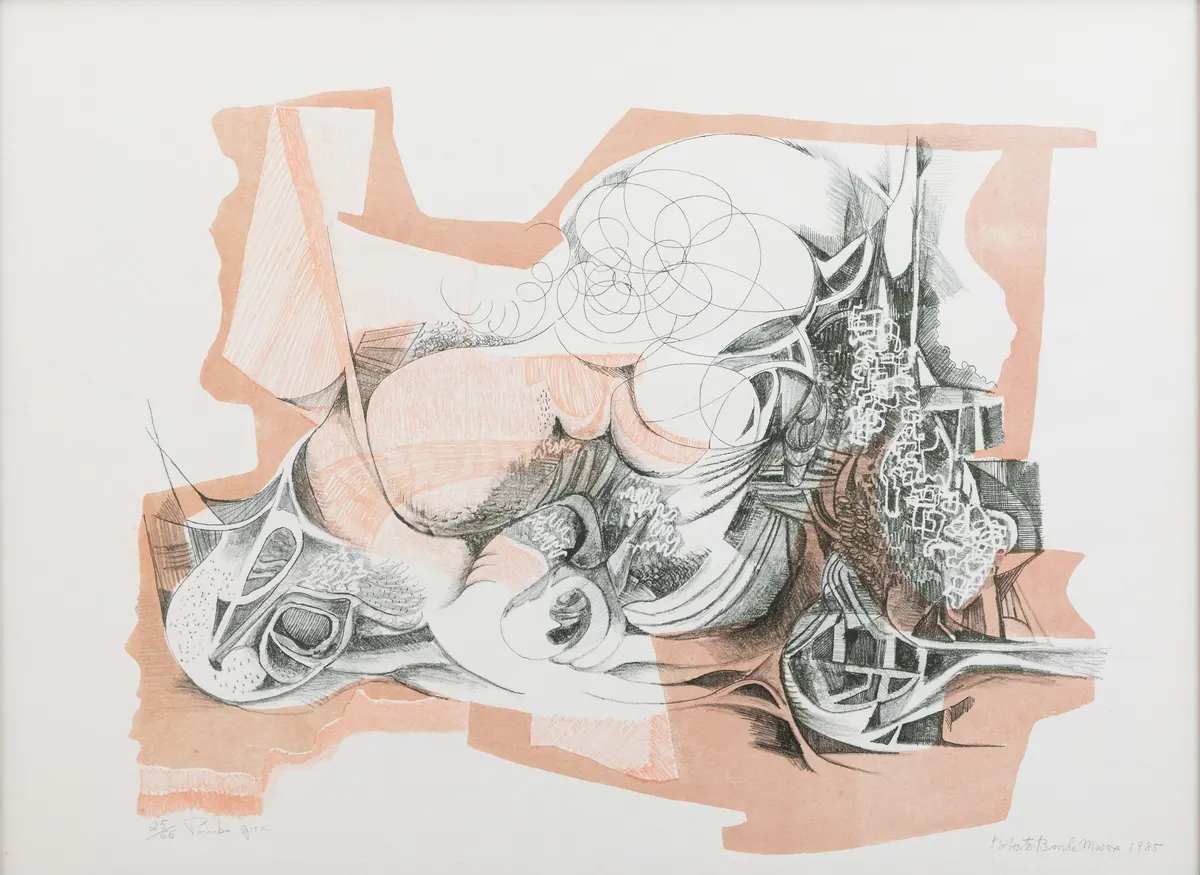Work by Roberto Burle Marx