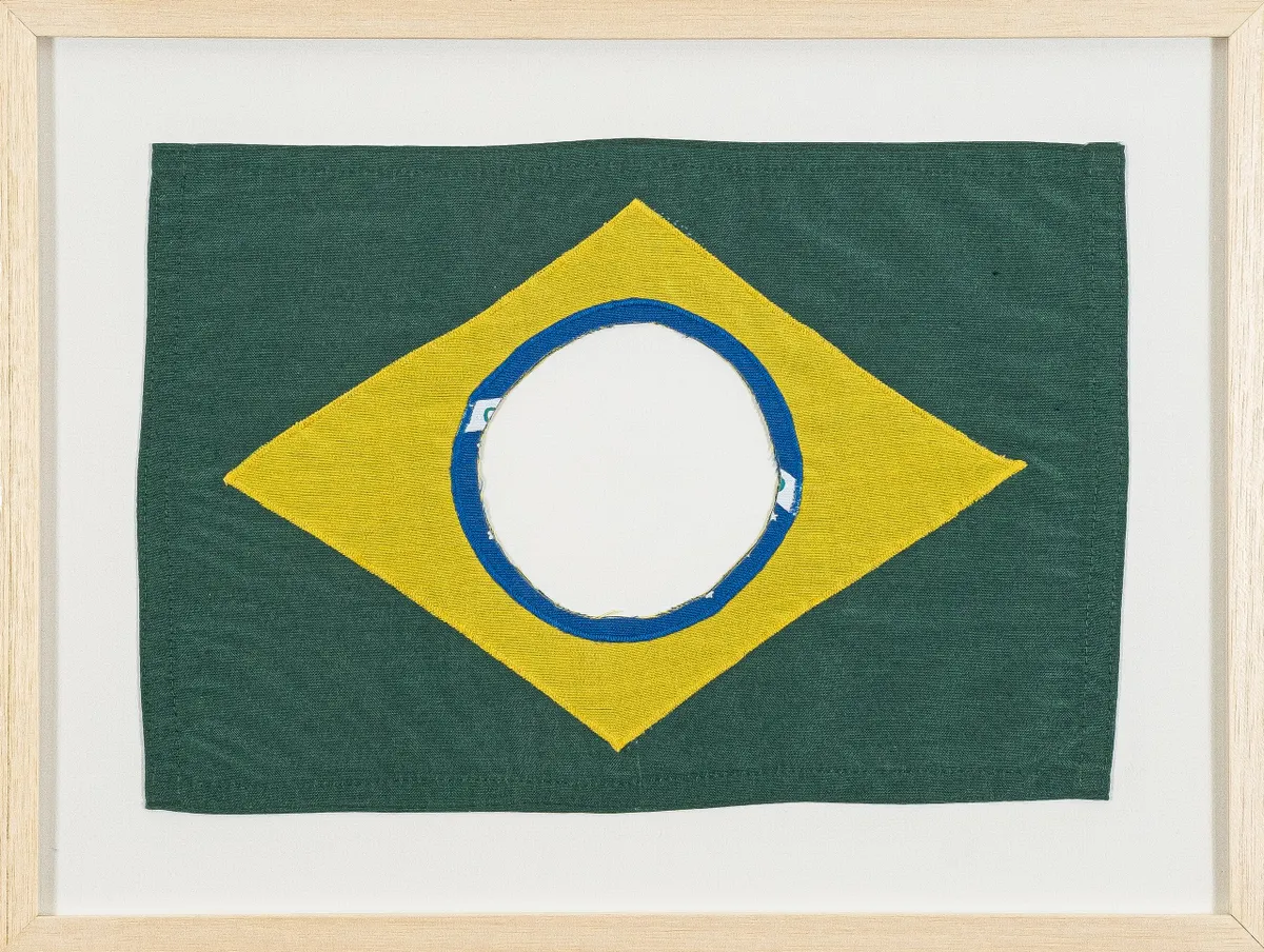 The New Brazillian Flag #2, 2019 — Raul Mourão