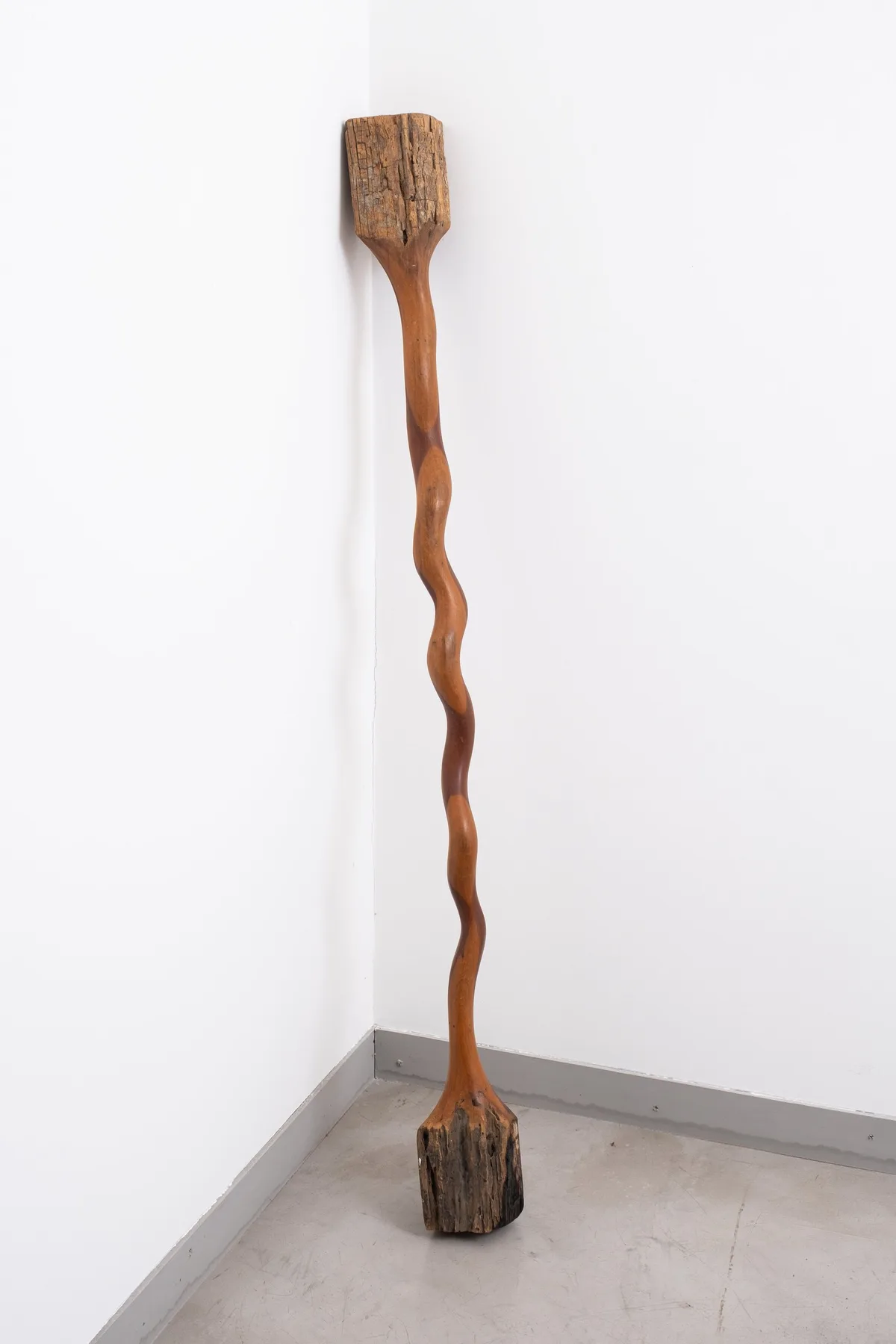 Bicolor - Escora III — Afonso Tostes