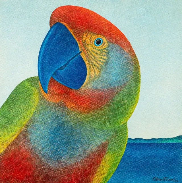 Work by Claudio Tozzi