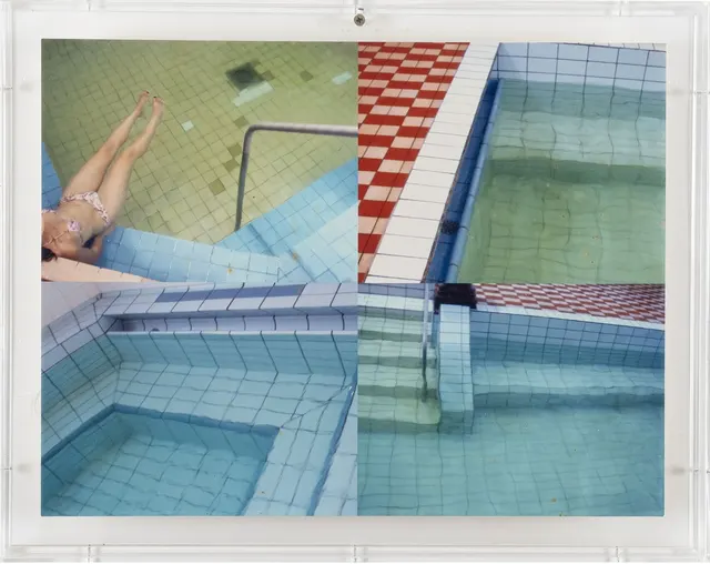 Work by Adriana Varejão