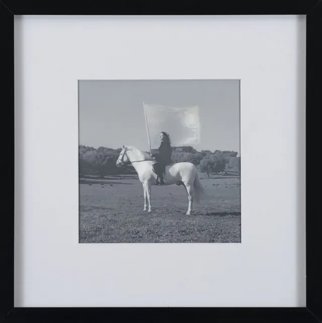Work by Marina Abramovic