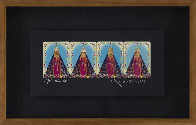 Work by Nelson Leirner