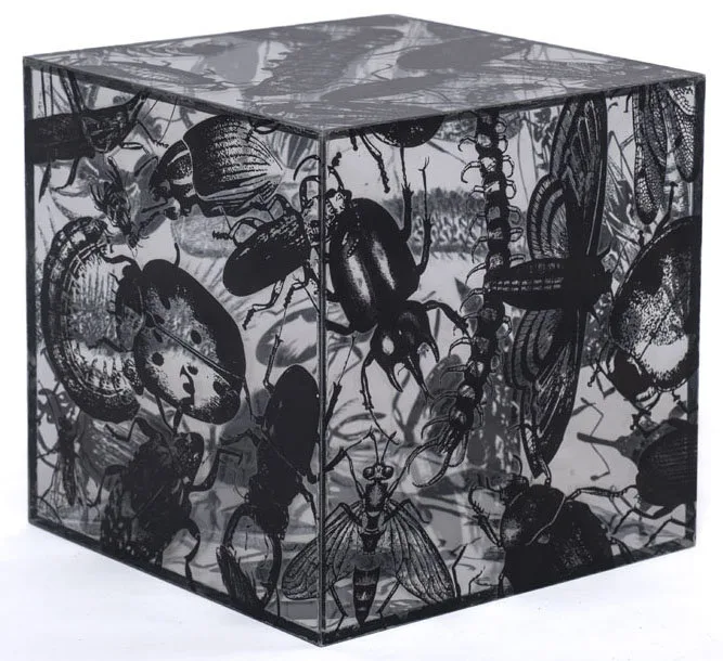 Ninho (Black) — Regina Silveira