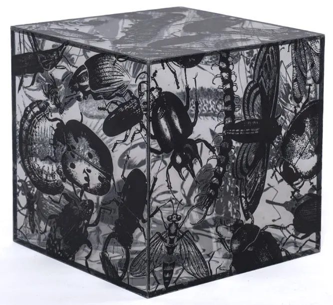 Work by Regina Silveira