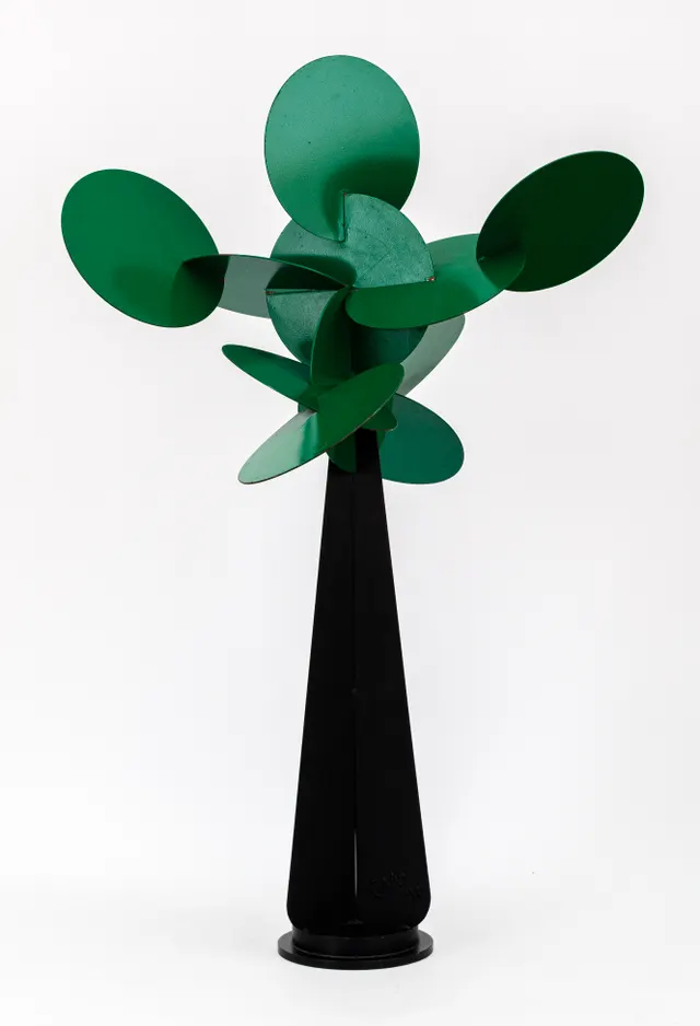 Work by Cleber Machado