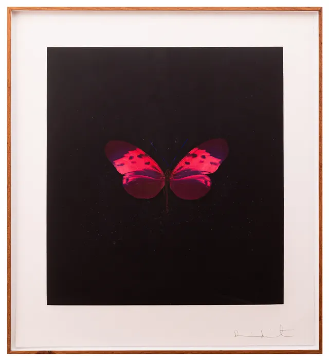 Work by Damien Hirst