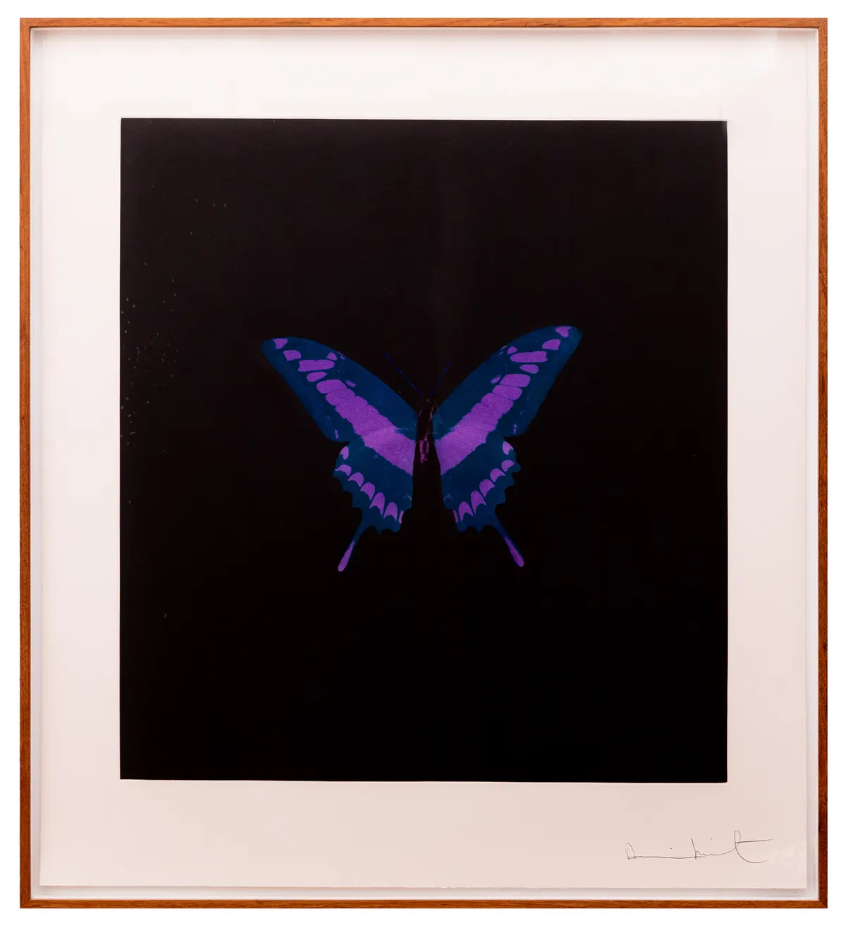 Work by Damien Hirst