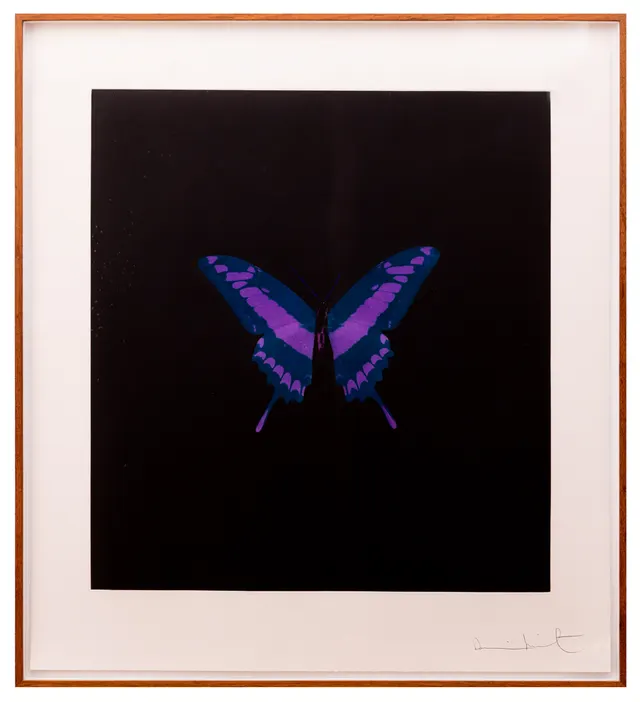 Work by Damien Hirst