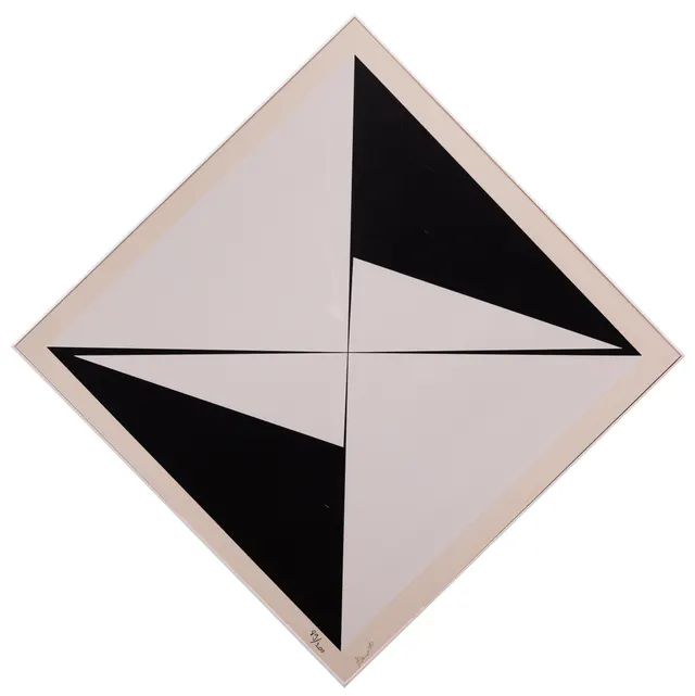 Work by Hércules Barsotti