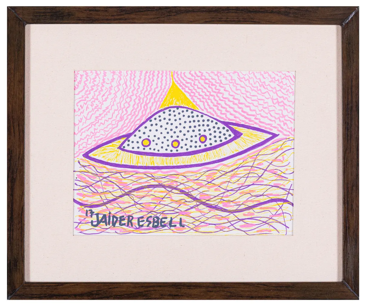 Work by Jaider Esbell