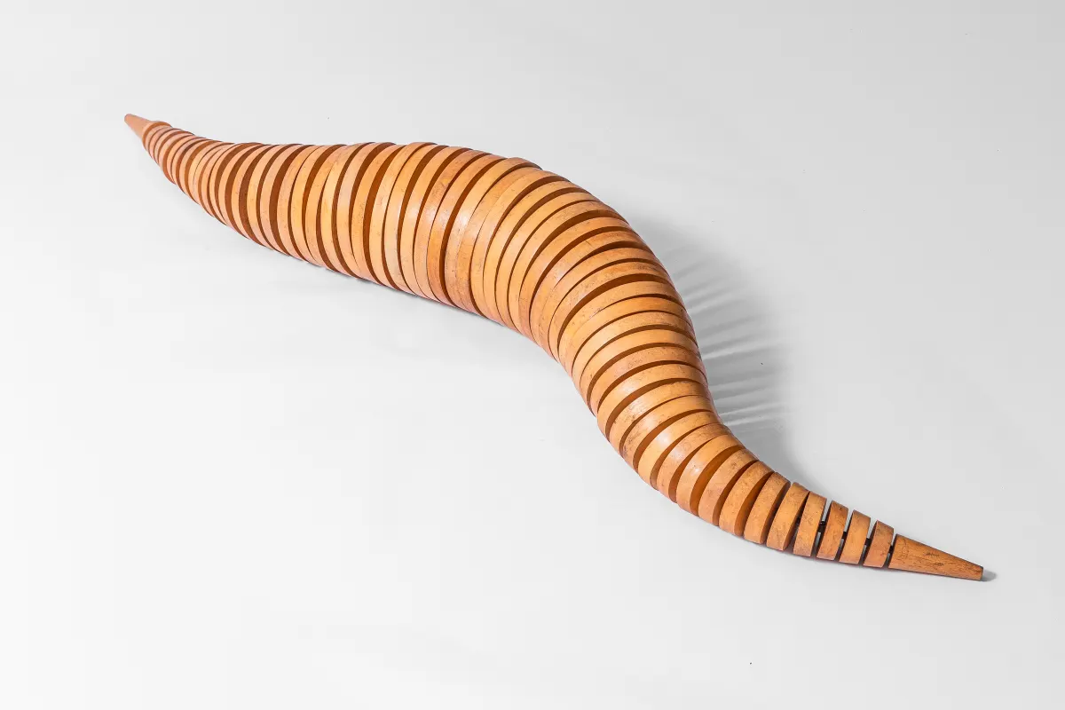 Work by Ricardo Ribenboim