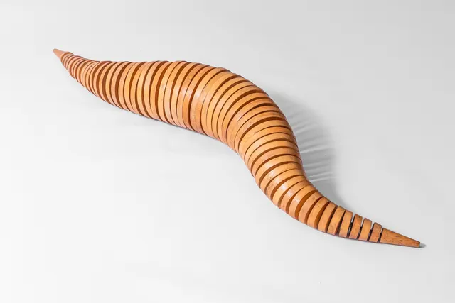 Work by Ricardo Ribenboim