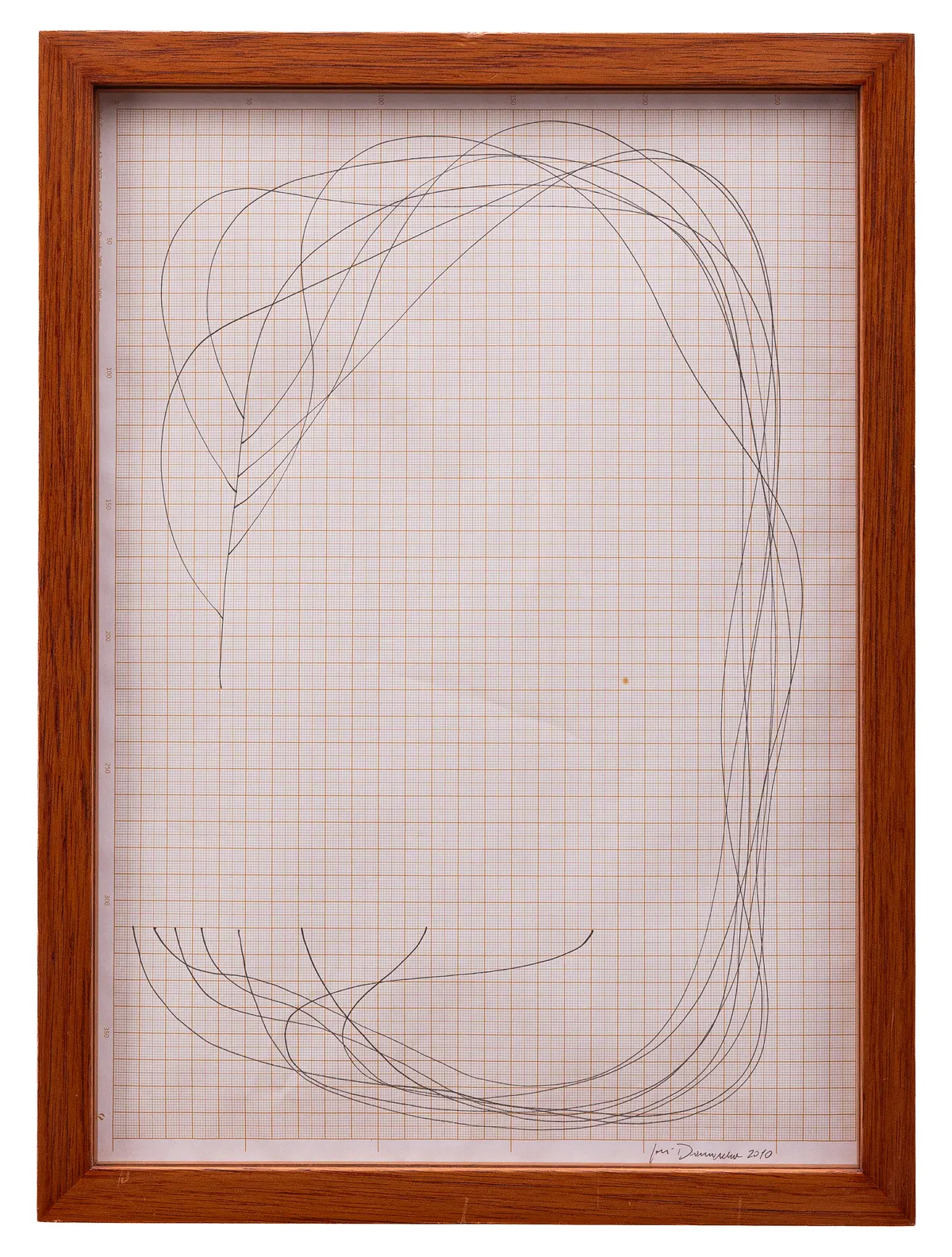 Work by José Damasceno