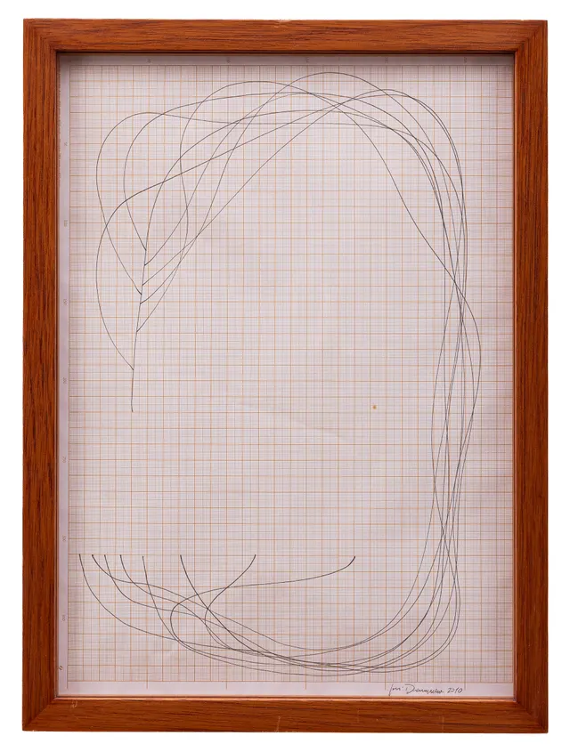 Work by José Damasceno