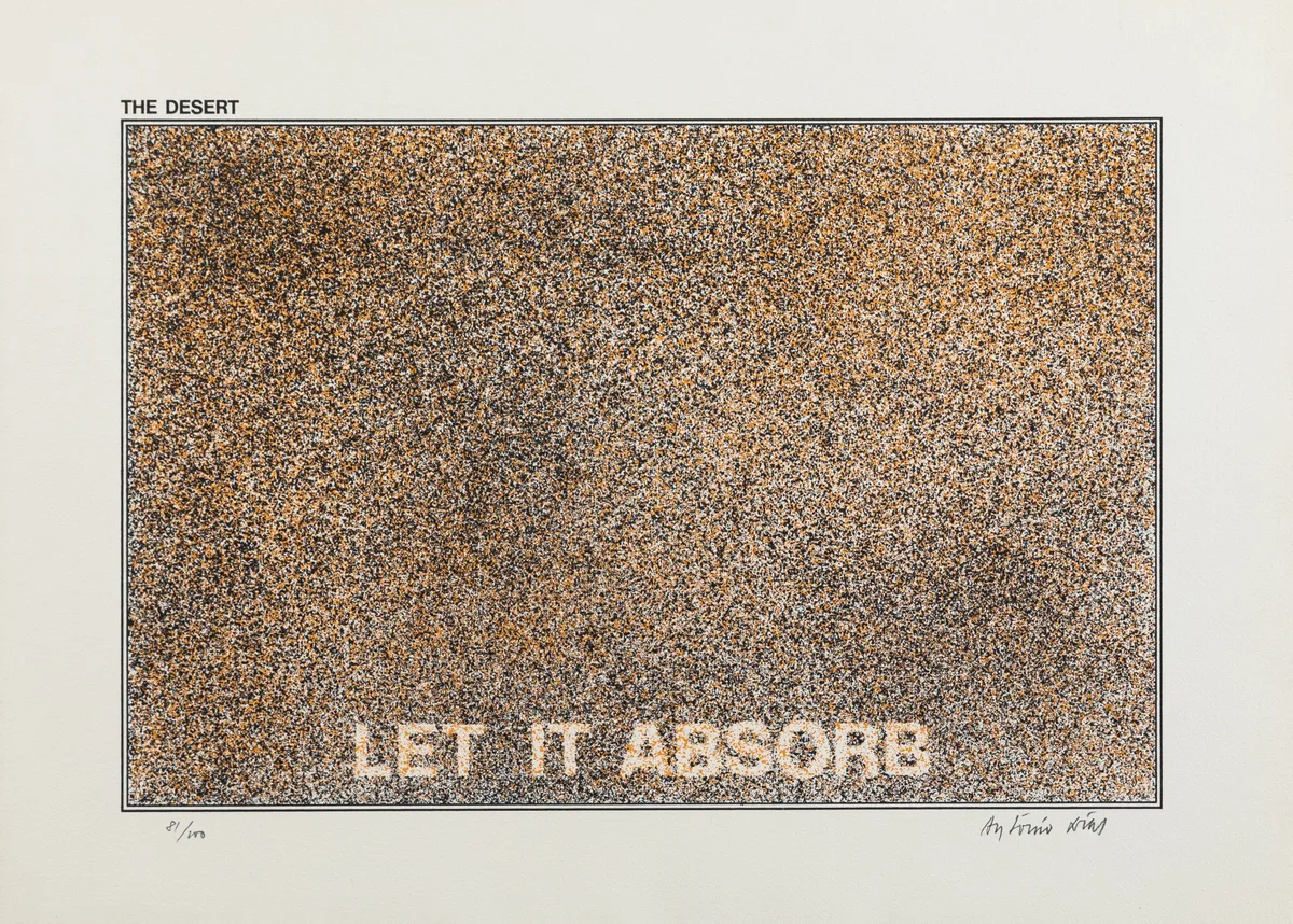 The desert - let it absorb — Antônio Dias