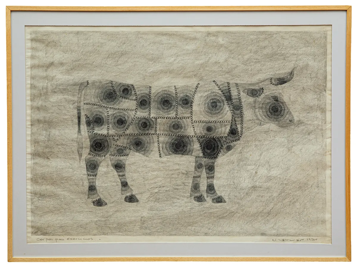 Work by Nelson Leirner