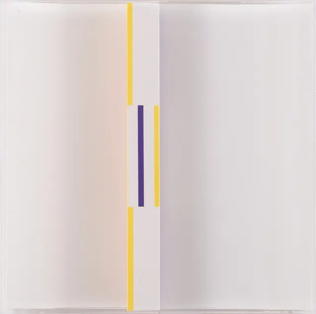 Work by Willys de Castro