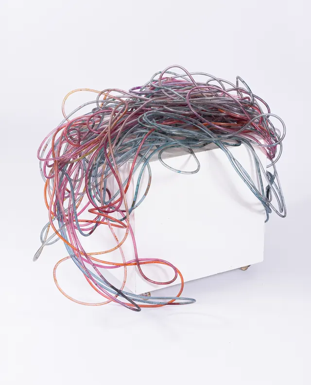 Work by Amélia Toledo