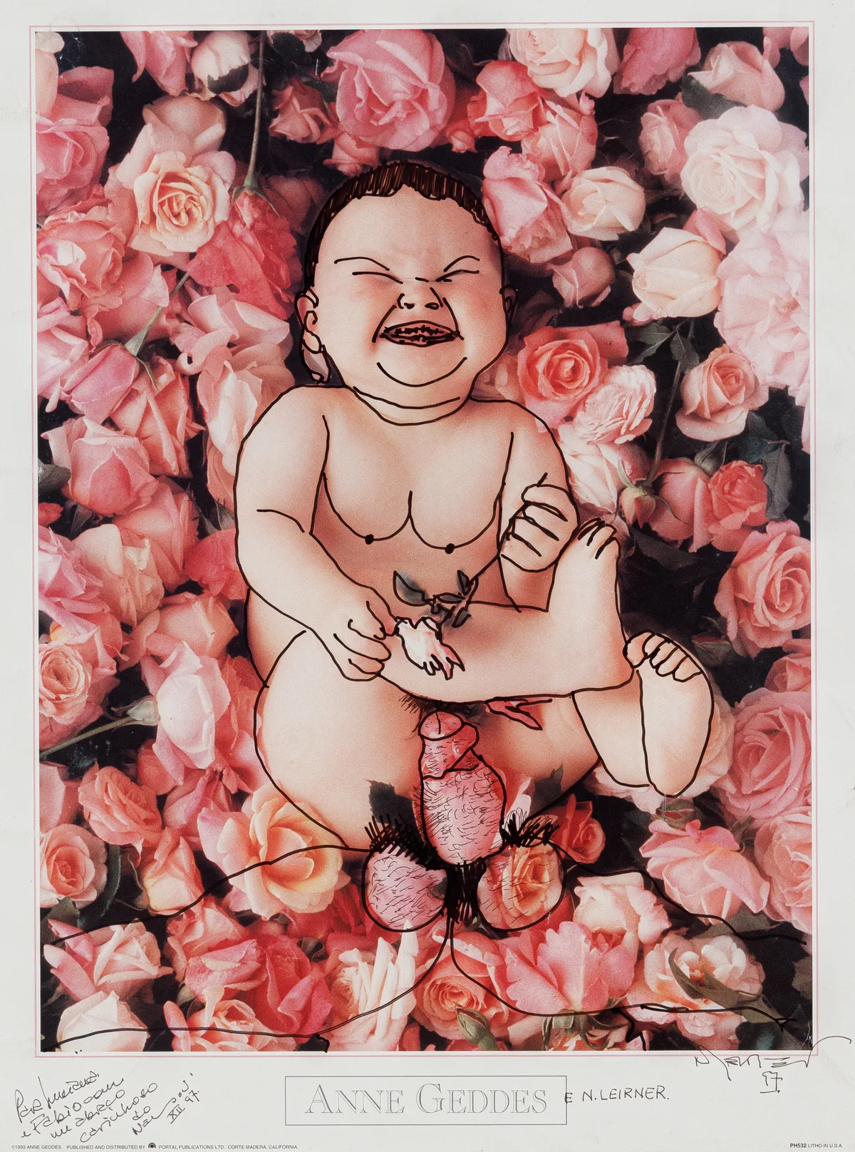 Anne Geddes e Nelson Leirner — Nelson Leirner