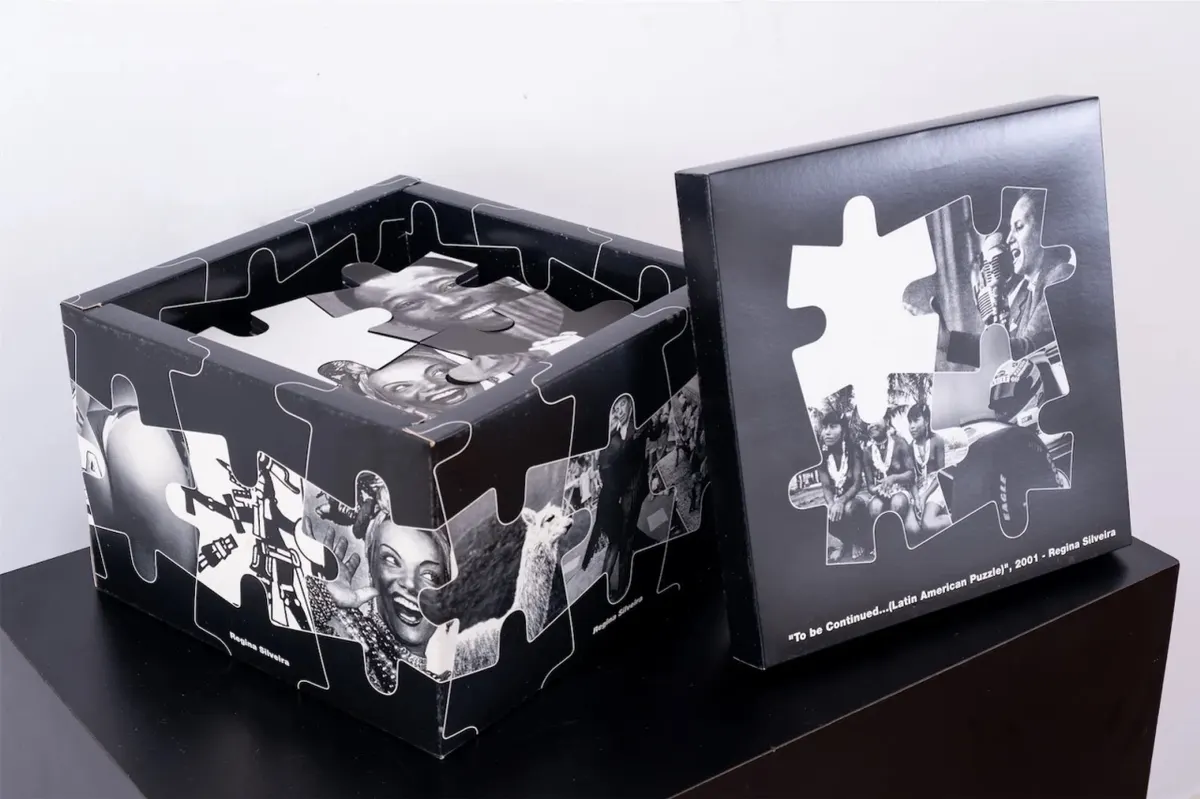 To be continued... (Latin America Puzzel), 2001 — Regina Silveira