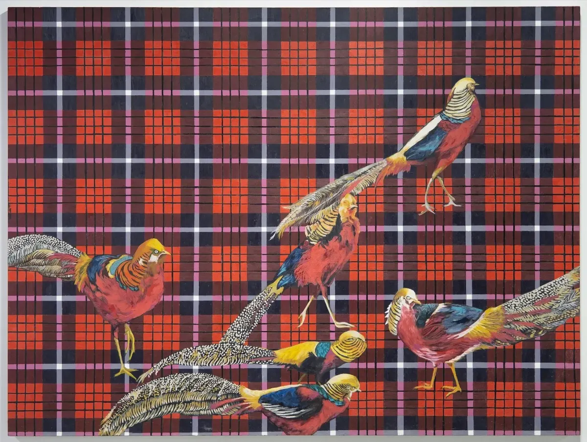 Faisão dourado - série Gaiolas, 2007 — Ana Elisa Egreja