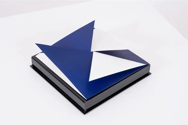Work by Hércules Barsotti