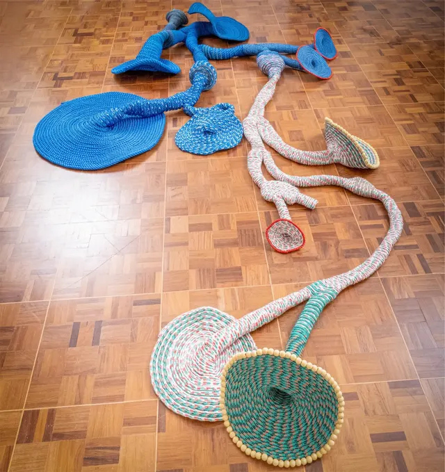 Work by Maria Nepomuceno