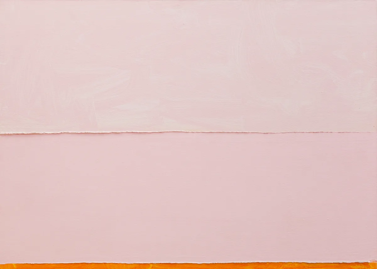 Vai e vem rosa I — Paulo Monteiro
