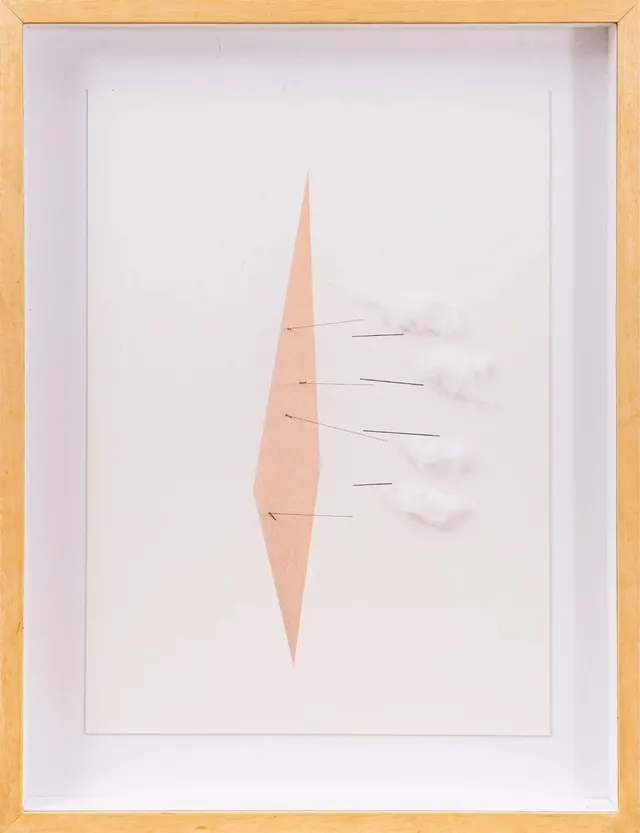 Work by Waltércio Caldas