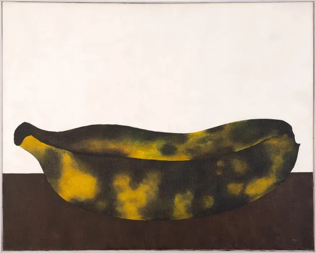 Work by Antonio Henrique Amaral
