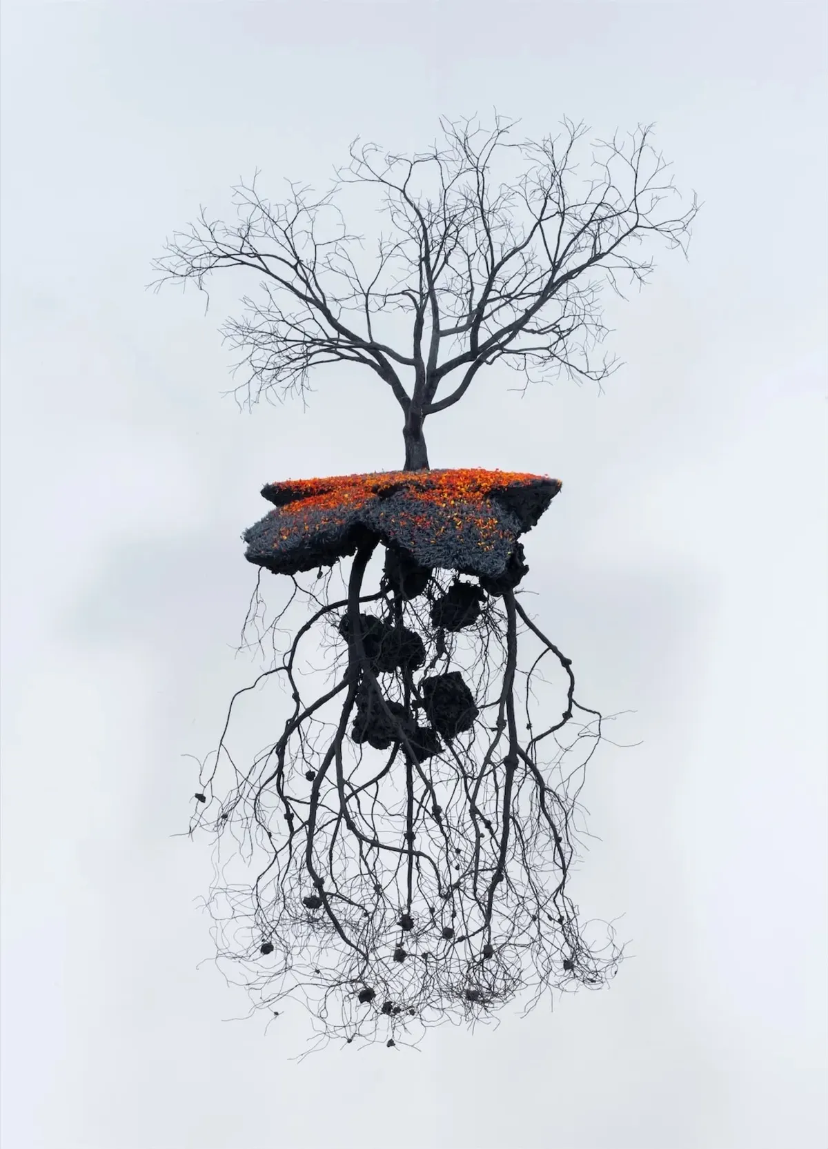Flores de fuego en tierra de sombras, 2009 — Jorge Mayet