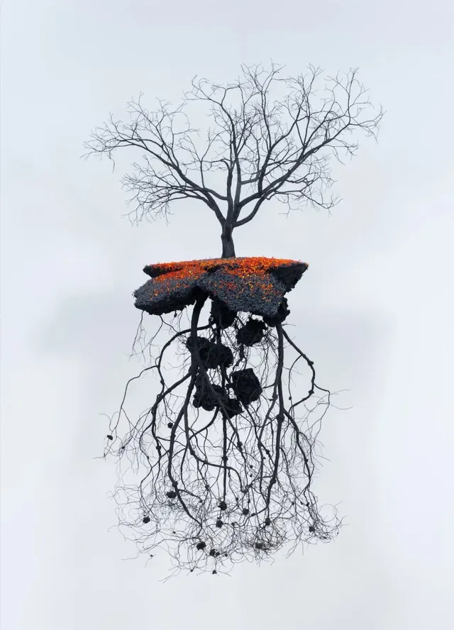 Work by Jorge Mayet