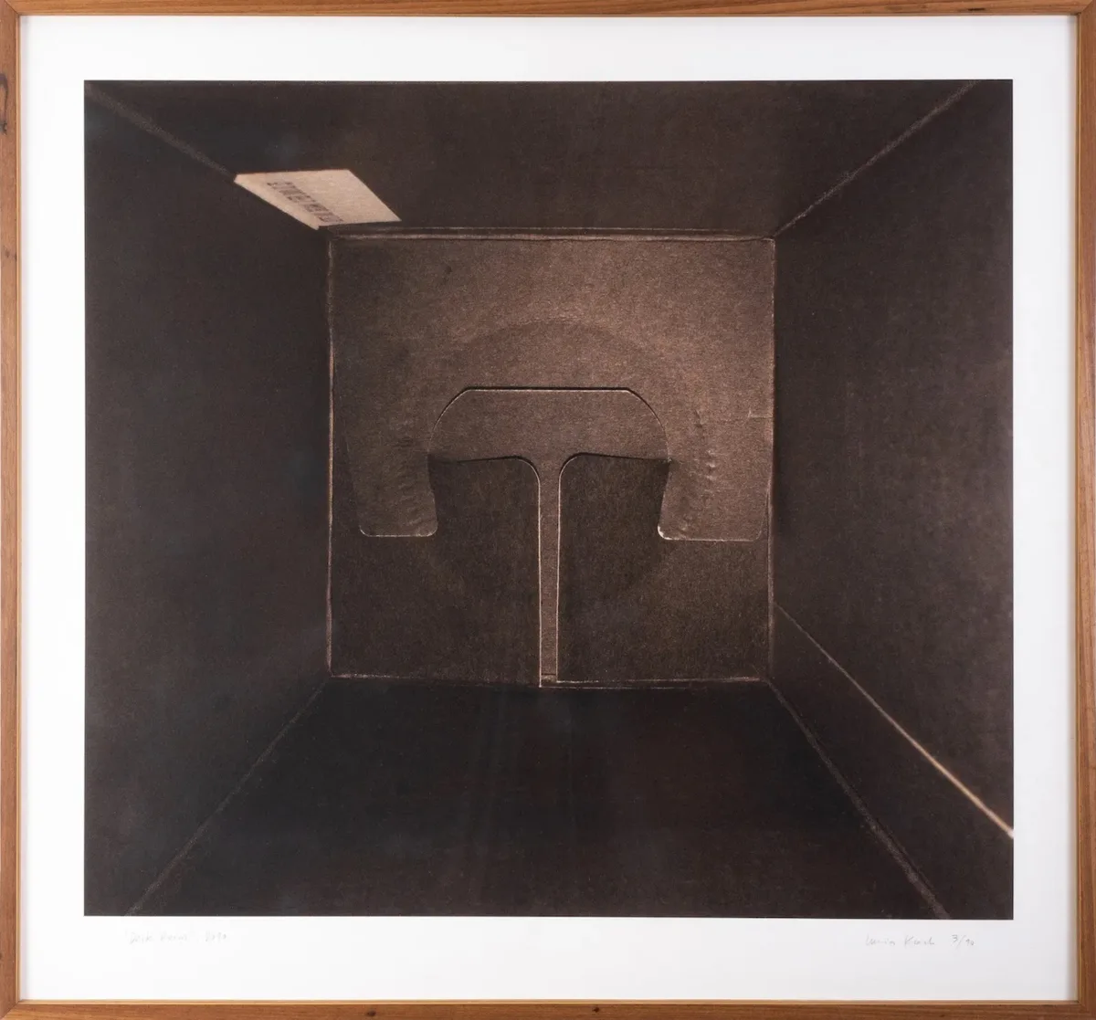 Dark Room — Lucia Koch
