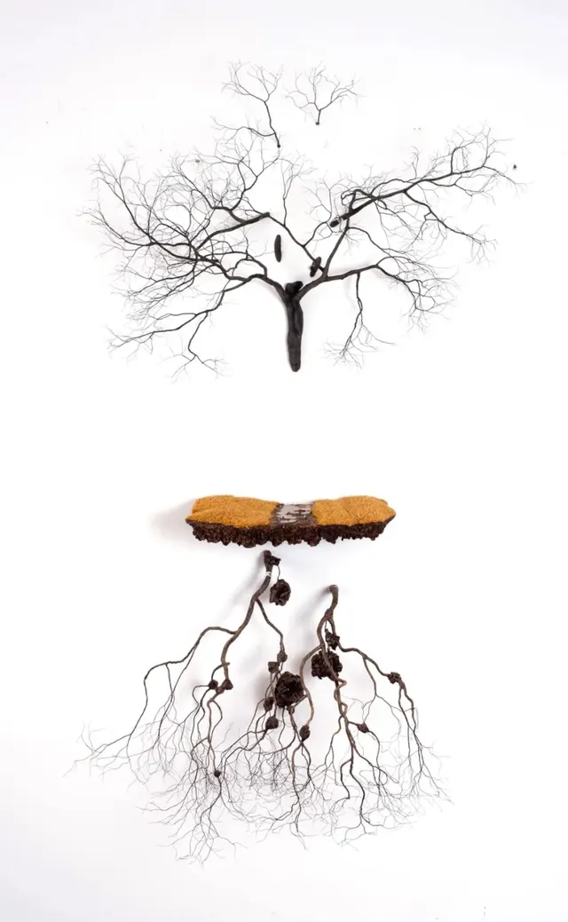 Work by Jorge Mayet