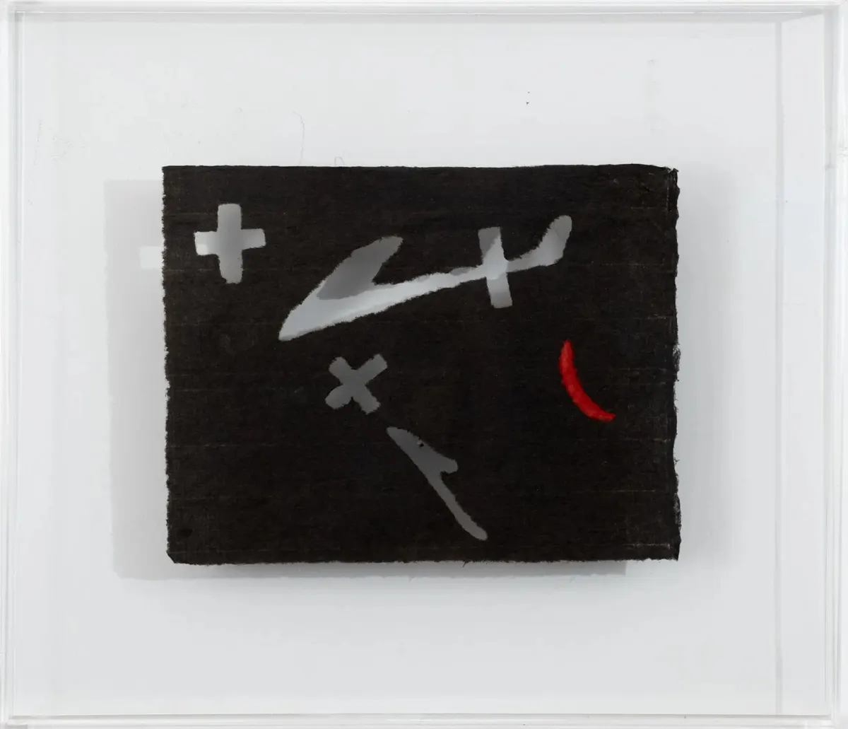 Work by Antônio Dias