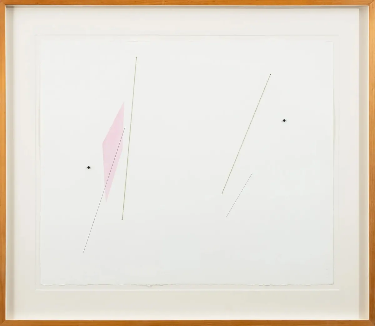 Work by Waltércio Caldas