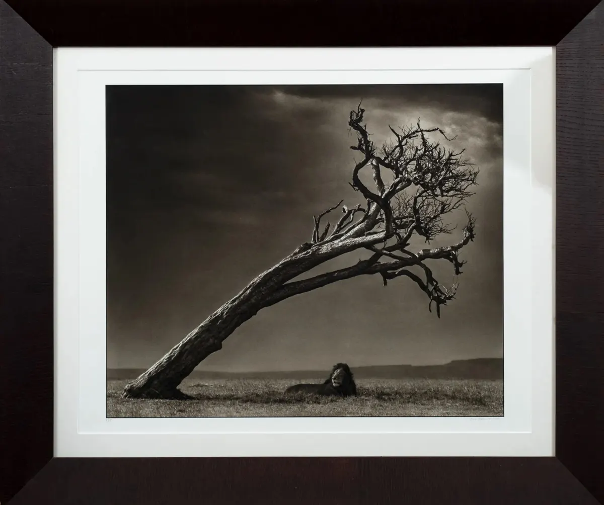 Work by Nick Brandt