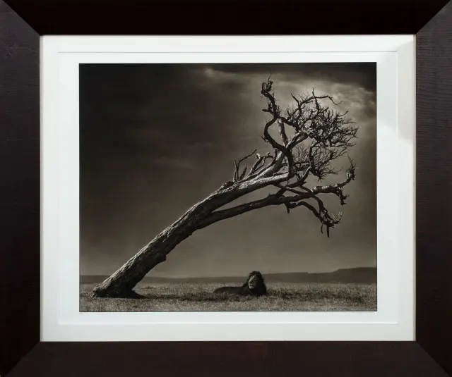 Work by Nick Brandt