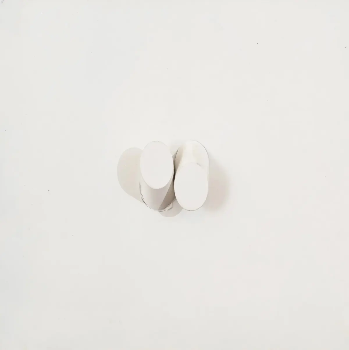 Work by Sérgio Camargo