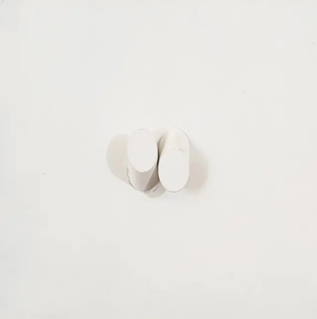 Work by Sérgio Camargo