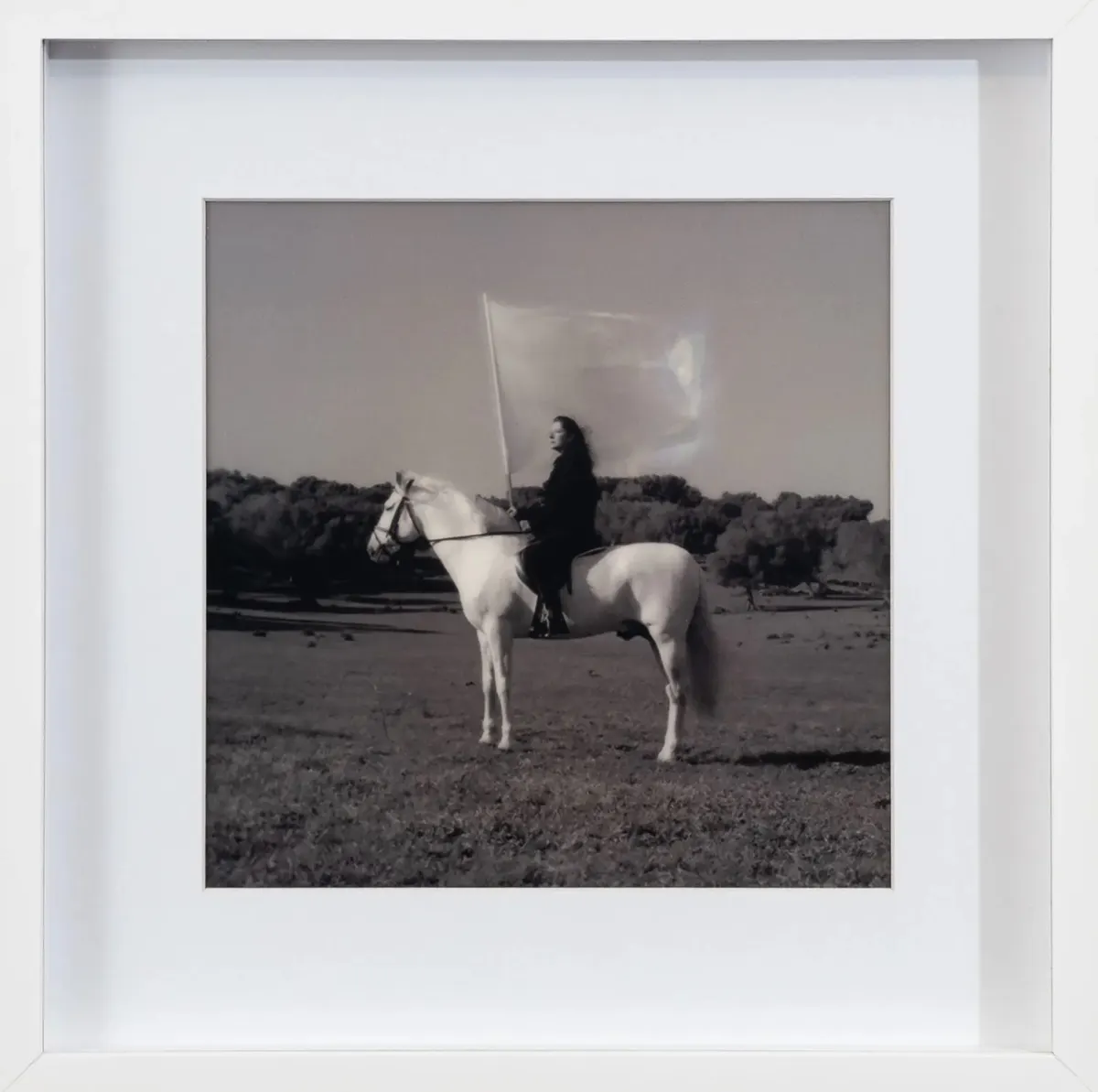 Work by Marina Abramovic